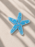 Pins étoile bleu
